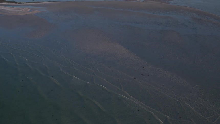 Florida Aerials
