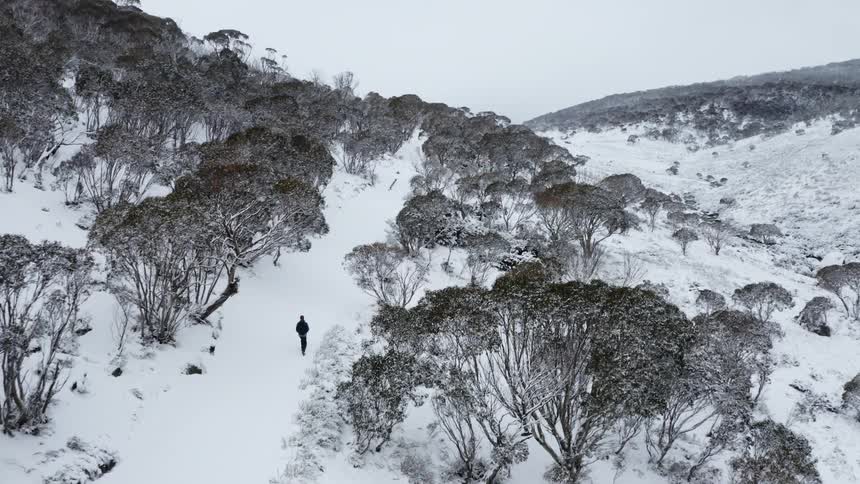 A person is walking on a snow covered mountain path surrounded by bare trees and mountains in the distance