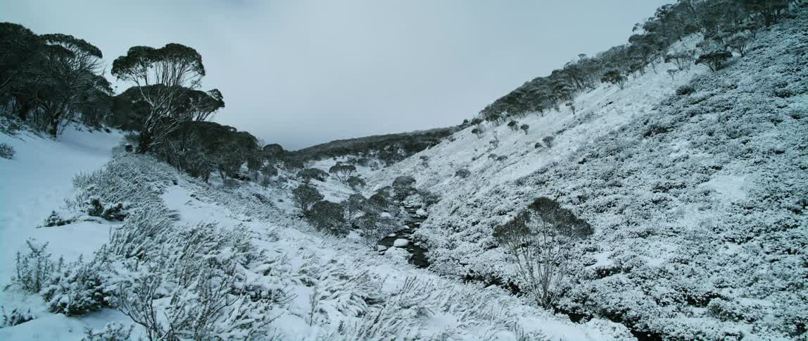 Snow covers slopes and forests on both sides of narrow stream