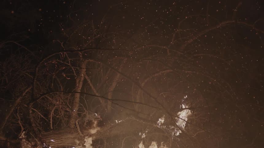 Fire is burning high covering a tree at night