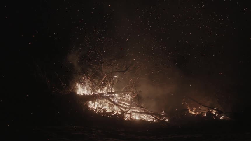 A fire rages at night burning some trees