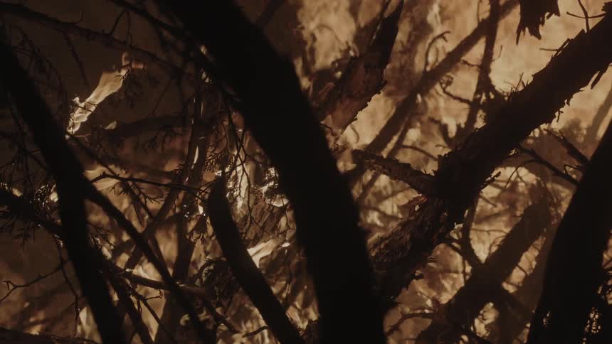 A large fire burns branches