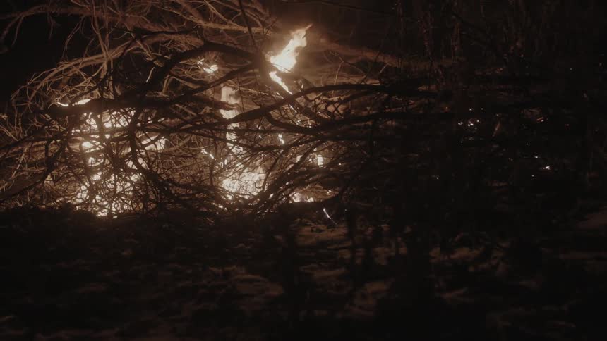 Fallen tree branches burning