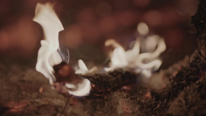 Flames engulfing a stick