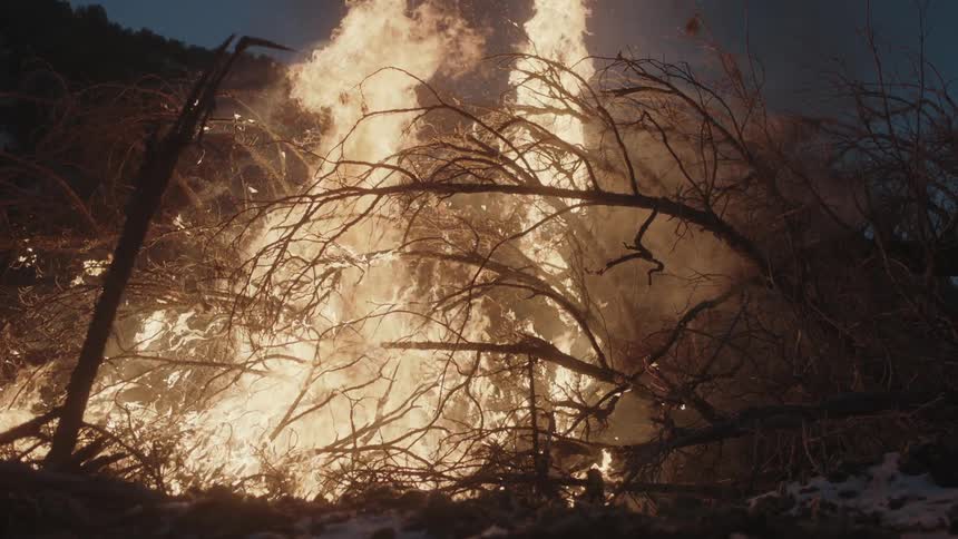 Fire burning brush and tree branches at night