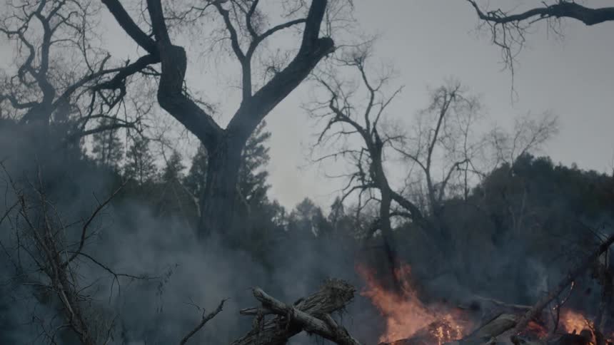 A fire burns on a cloudy day