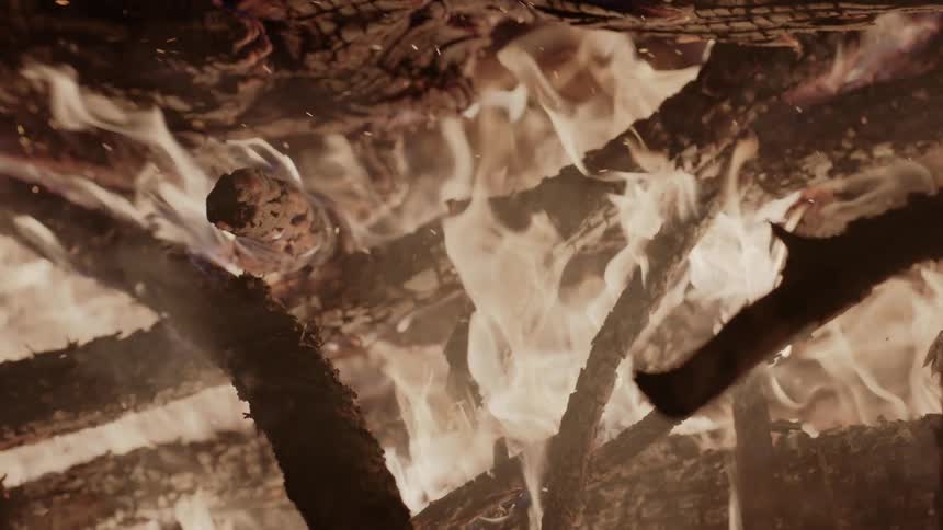 A fire is burning trees to ash