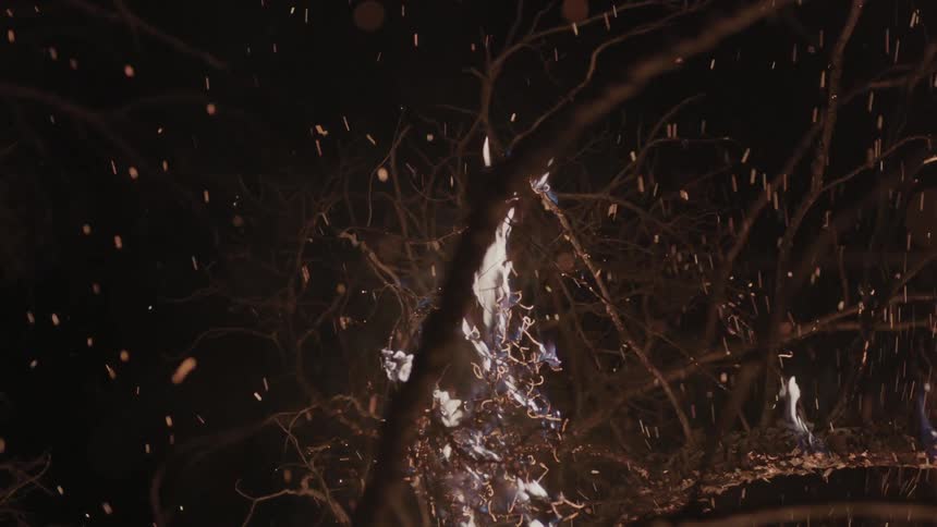 Flames and sparks rising into the night sky as tree branches burn