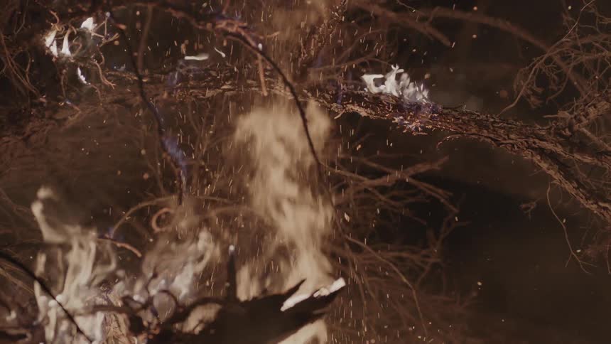 Fire burning branches at night