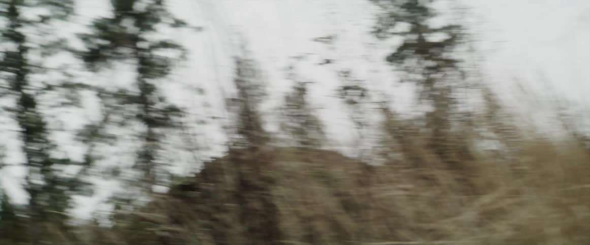 A cyclist leaps through the air while riding through tall weeds