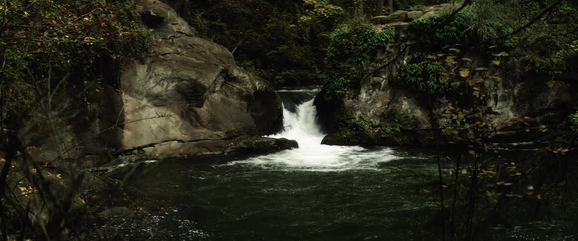 Waterfalls are flowing into a stream and vines and plants are clinging to the rocks