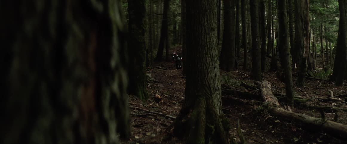 A teenager is riding a mountain bike through a forest of trees