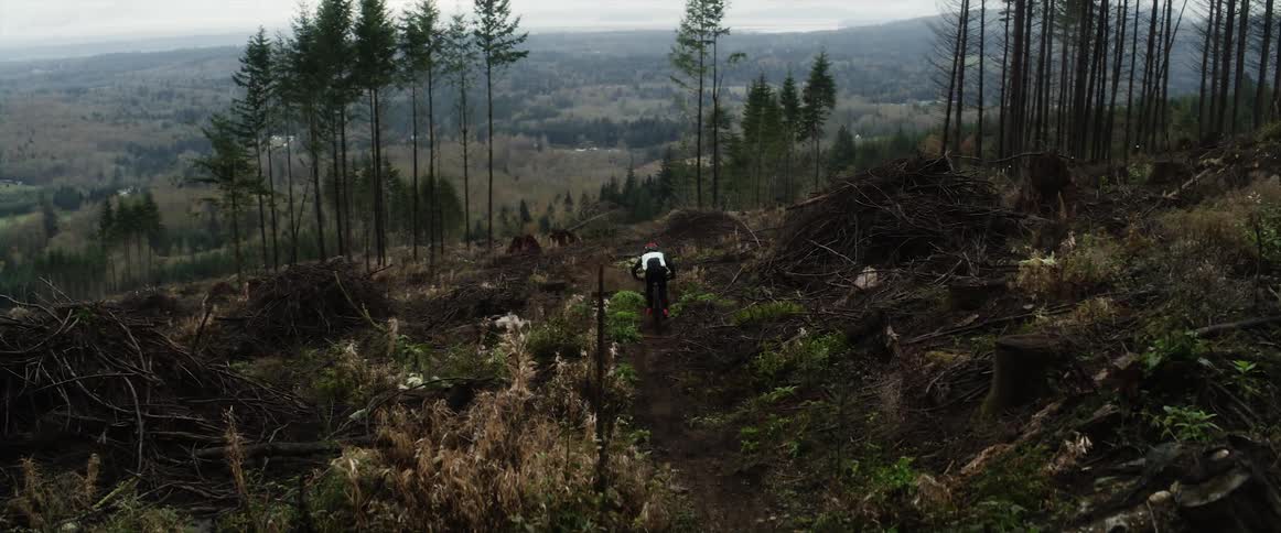 Cyclist with helmet jersey and pants rides bicycle downhill next to forest