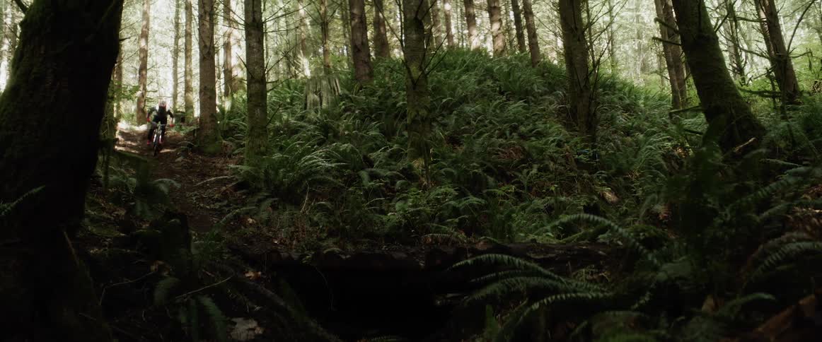 A person riding a mountain bike in a forest