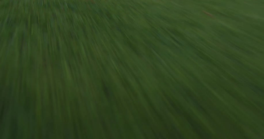 Small rocks down the ground on a green lawn