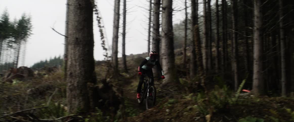 A man rides his bike down the hill in the forest