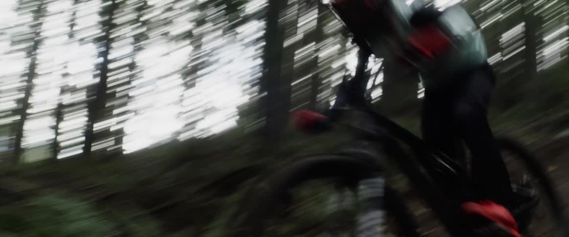 A person is dirt biking through a forest