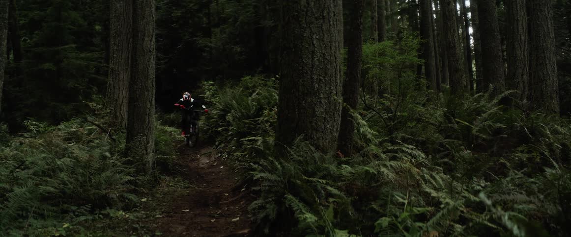 A person mountain bikes through a forest