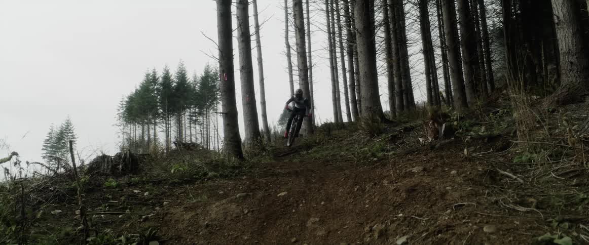A person rides a motocross bike speeding down the slopes of a mountain near the pine tree forest