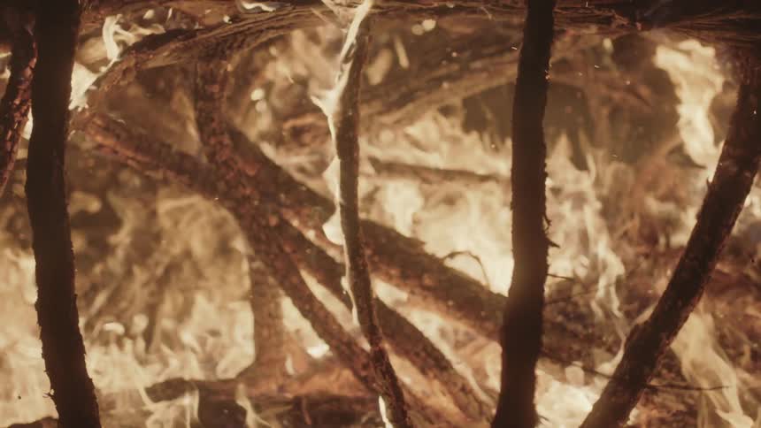 Fire burning branches at night