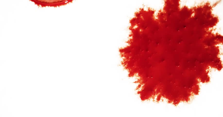 Red drops splattering and spreading on a white surface