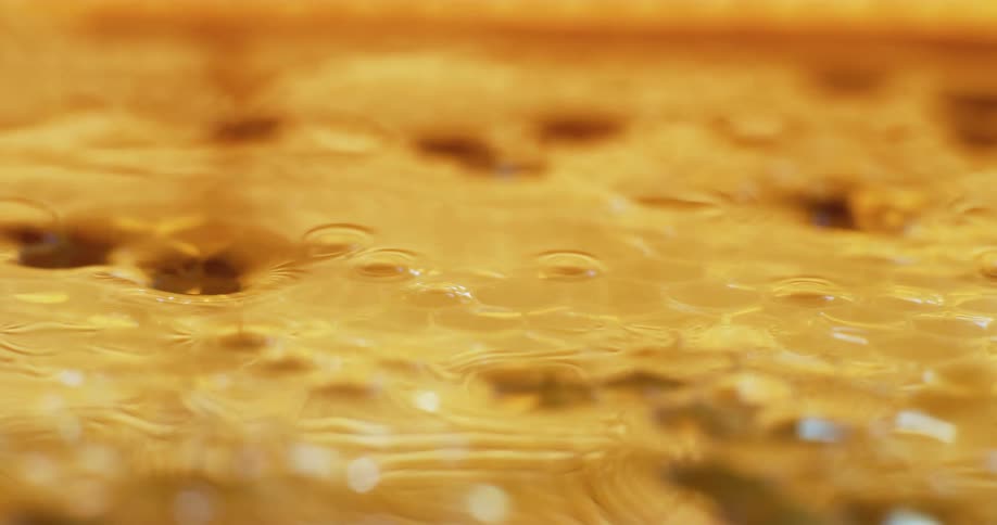 Closeup of honeycomb and honey