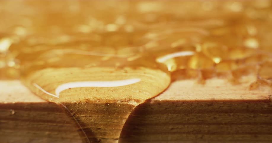 Fresh honey dripping over the wooden frame of a honeycomb