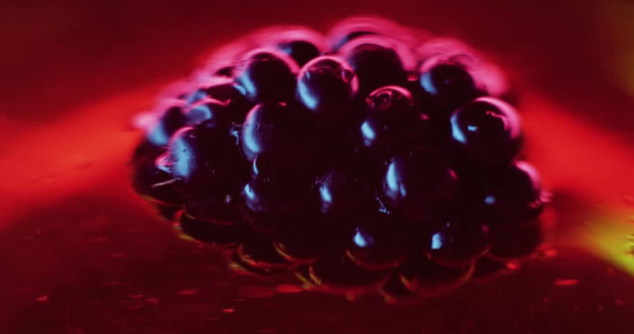 A blackberry suspended in a red substance