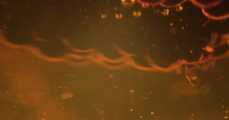 Close up of a berry floating up a thick amber liquid