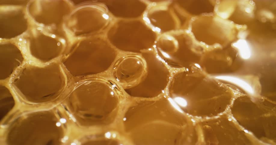 Close up of honeycomb with cells with six sides
