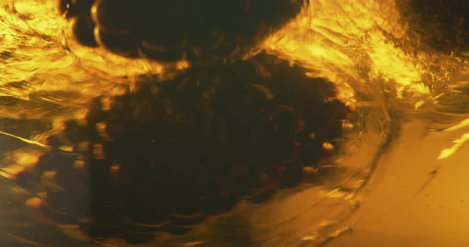 Close up of a raspberries floating up a thick amber liquid