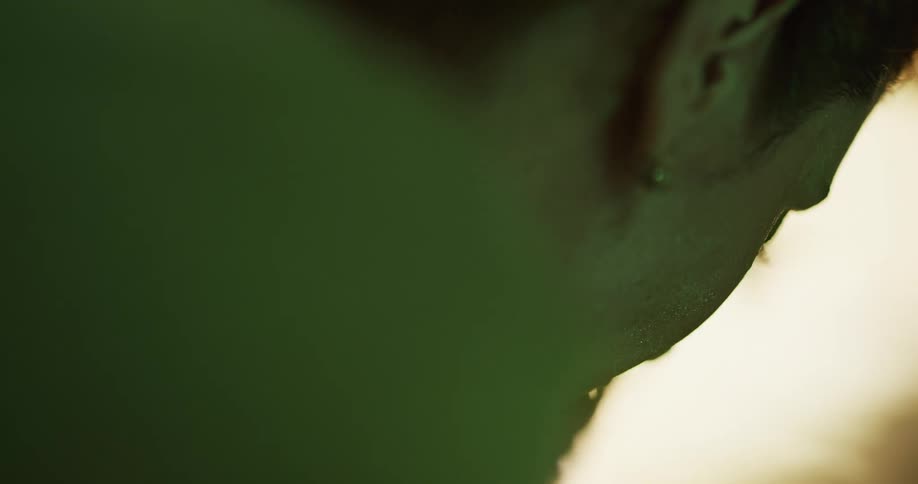 A woman washes her face with her hands and water which drips back into the tub