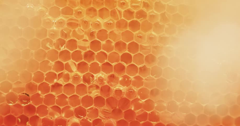 Closeup of honeycomb with honey