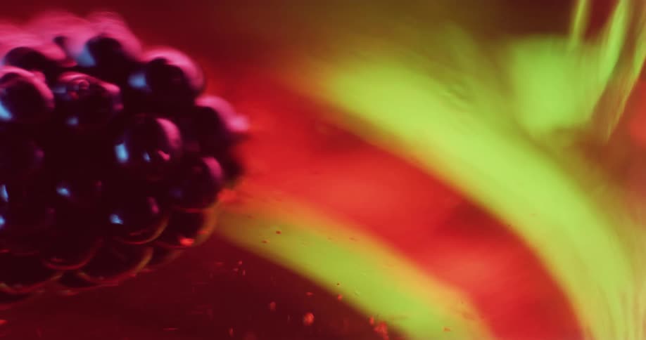A blackberry and slices of citrus fruit floating in clear liquid