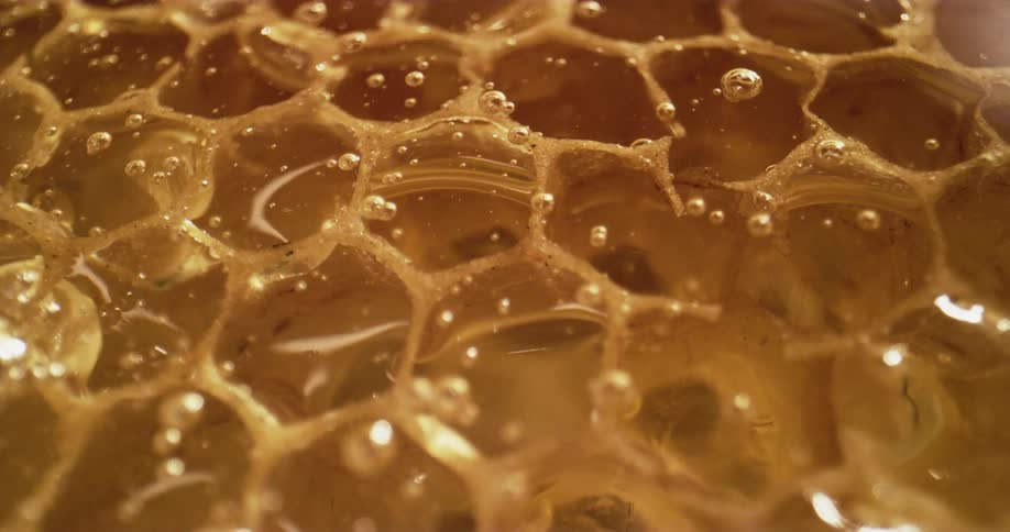 Honey running over honeycomb