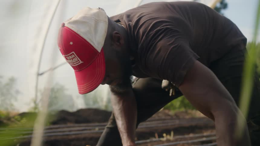 A farmer pulls weeds in his field of crops