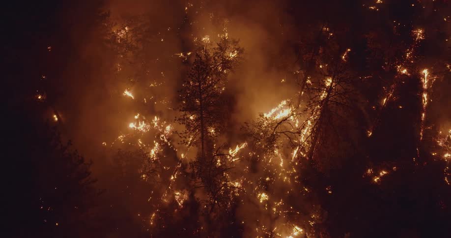 Aerial view of forest fire on mountain slope at night