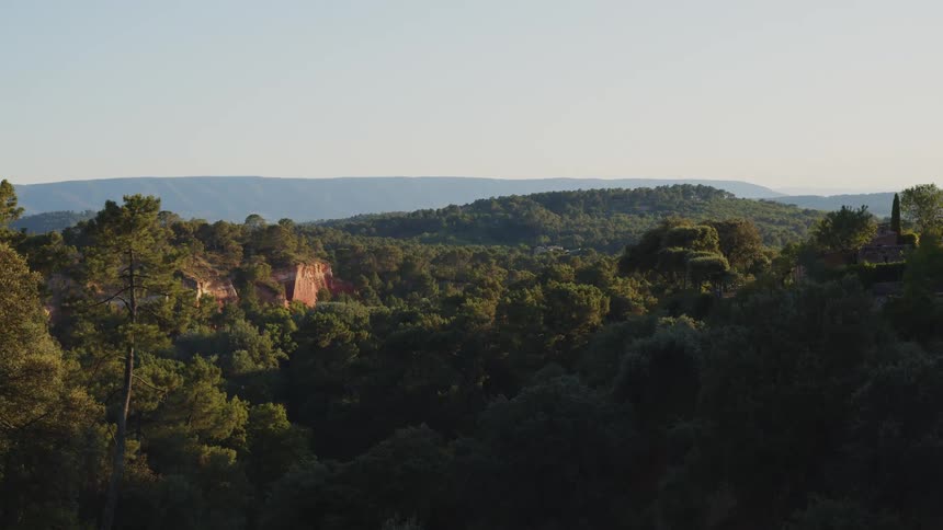Aerial view of large area of land covered with green trees