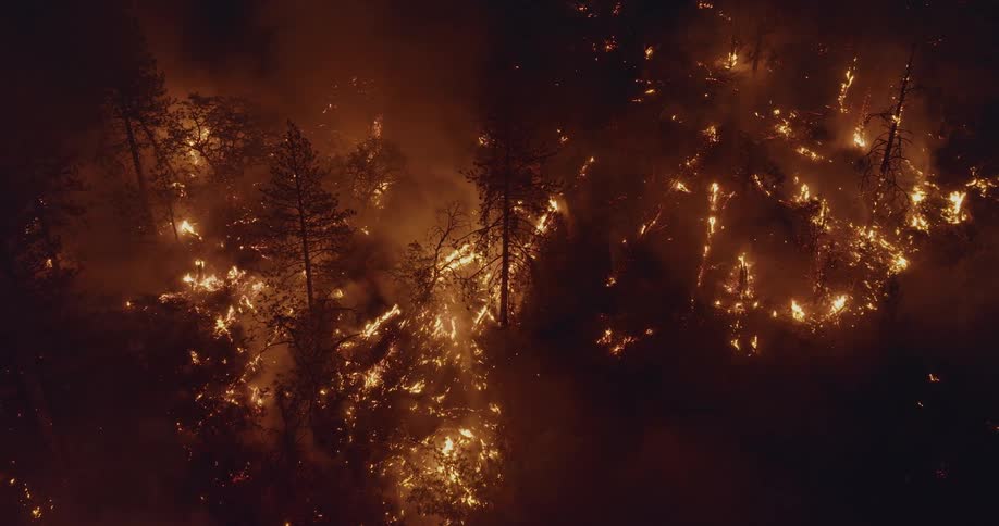 Fire and flames of a burning forest fire glow at night as smoke rises