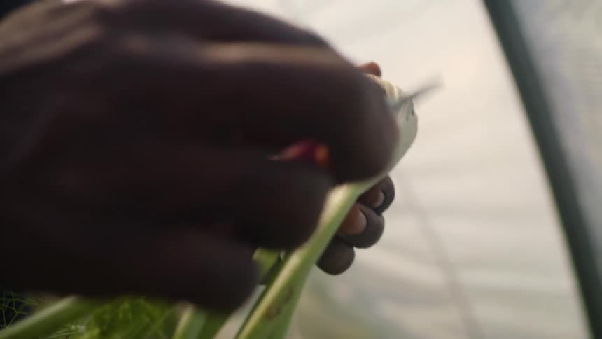 Man uses a small knife to clean vegetables
