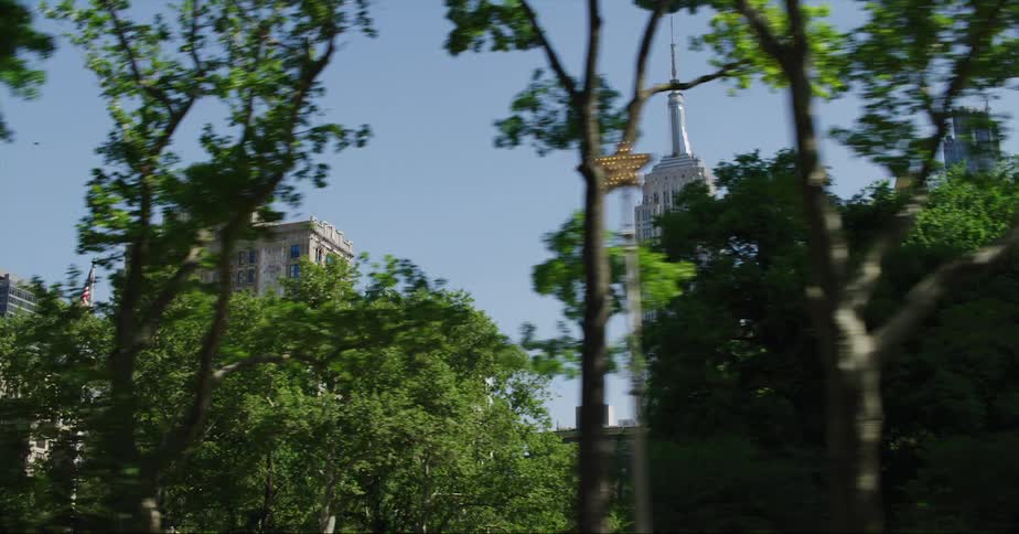 A spire on a tall downtown skyscraper in the skyline is seen through trees under a clear sky