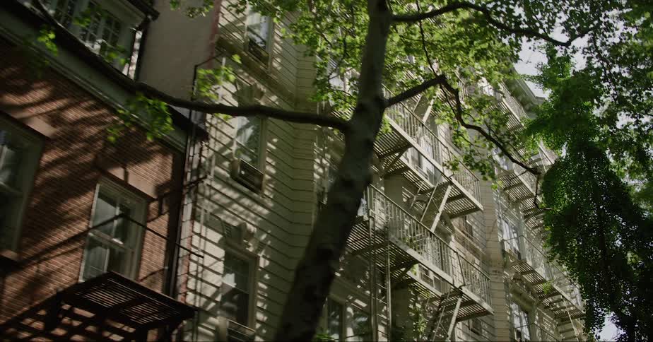 Trees line streetnext to row of closely placed apartment buildings