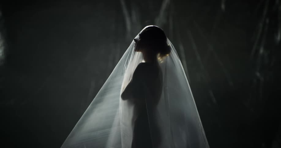 A woman wearing a white dress and veil is very slowly looking all the way down to all the way up