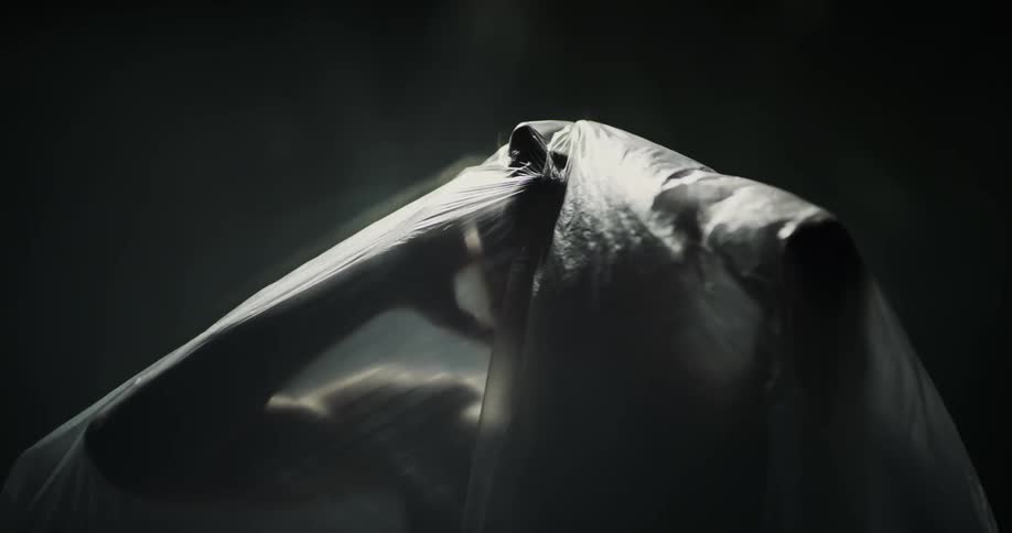 A nude woman is standing with a sheer veil over her body and she raises her hands to her neck and head with her elbows out moving the cloth
