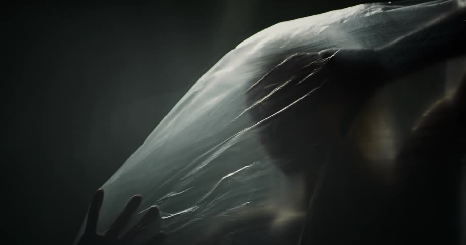 A person is posing with a sheet of plastic over them
