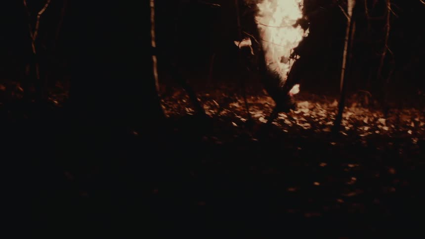 A person runs through a dark woodland while engulfed in flames