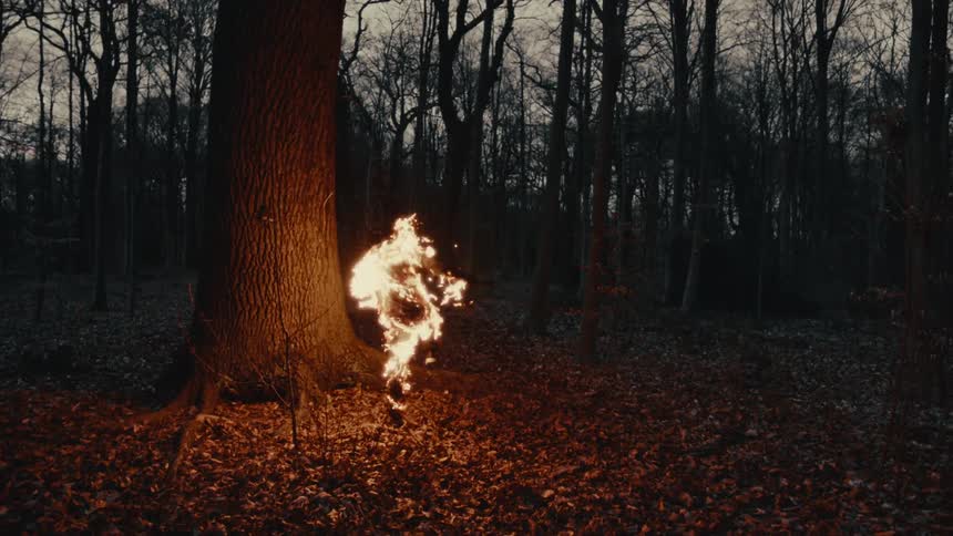 A man on fire runs through a forest