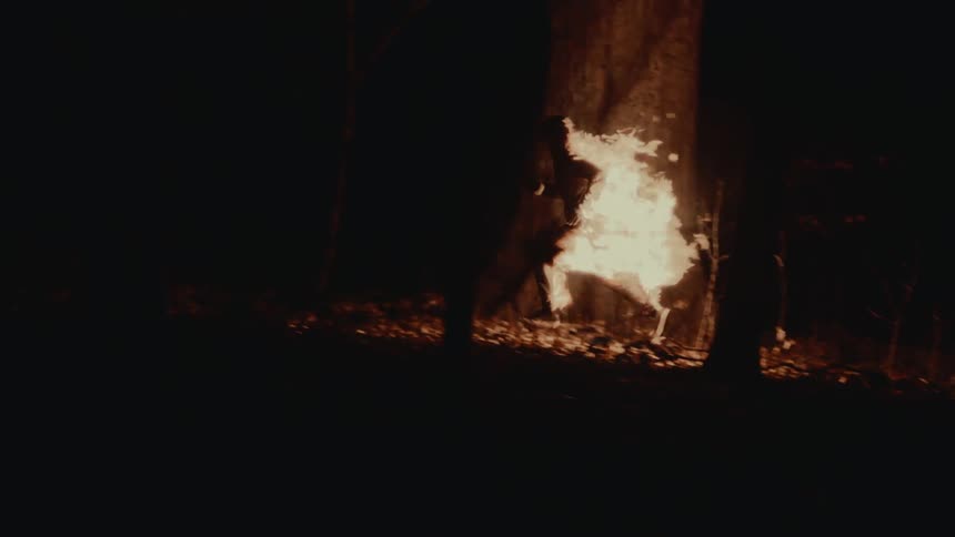 A person is on fire as they run through a forest leaving a trail of flames behind them in the darkness