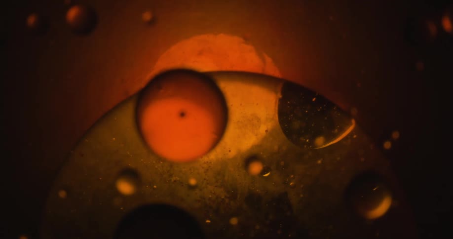 Abstract footage of bubbles floating