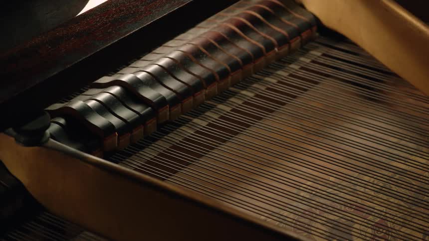 The inside of a piano as it plays